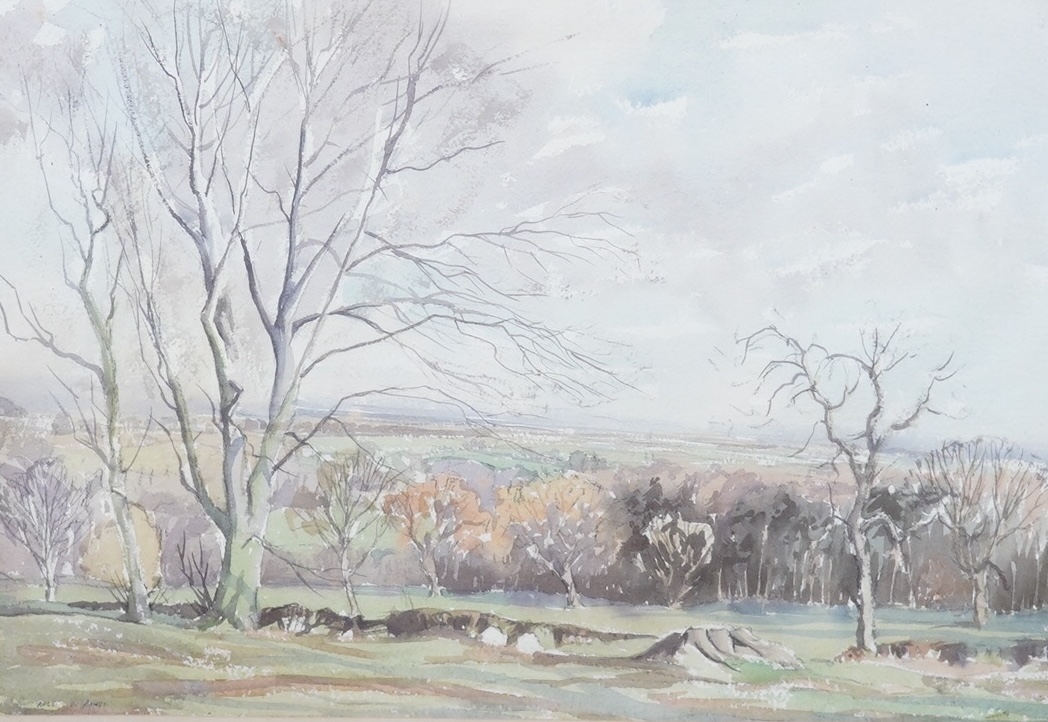 20th century watercolour, Landscape, indistinctly signed Rands?, 36 x 52cm. Condition - fair